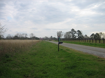 Looking south - Bigbee is to the right of this picture